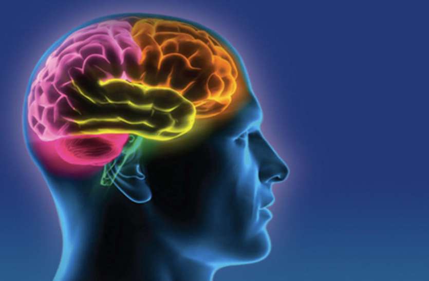 Brain शोध में खुलासा- मस्तिष्क कैसे लचीले ढंग से देता है जटिल जानकारी
