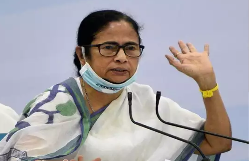 mamta_2.png
