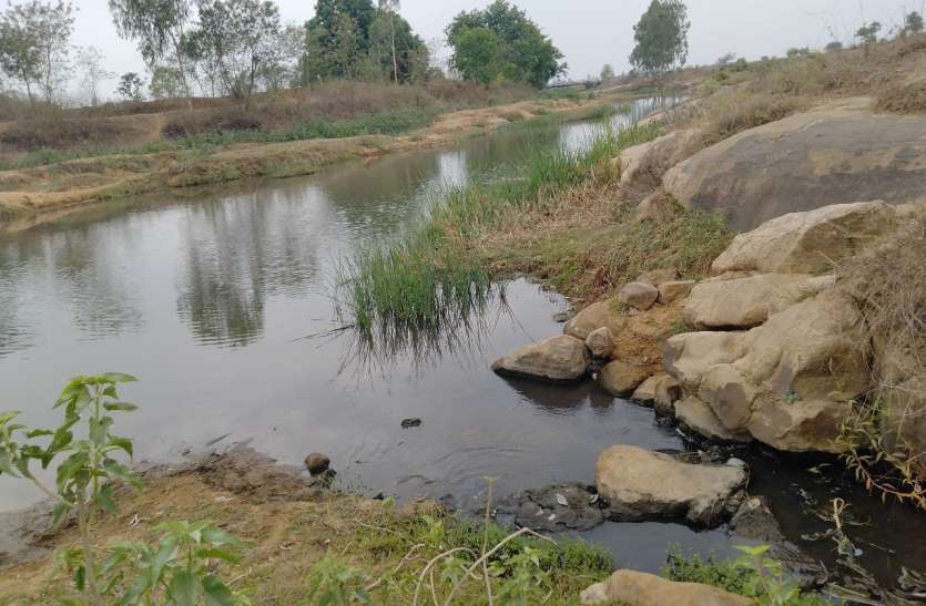 The contaminated water from the filter plant endangered the existence फिल्टर प्लांट से निकलने वाले दूषित पानी से कनई नदी का अस्तित्व खतरे में