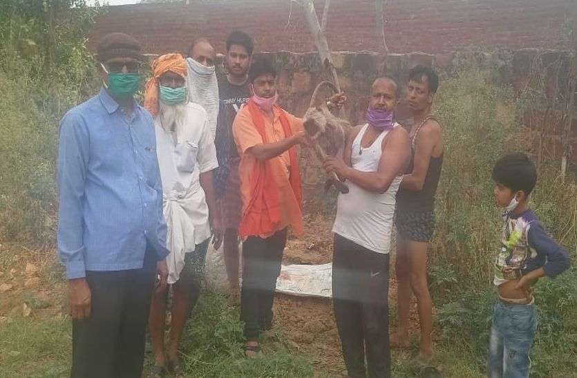 VHP workers performed last rites after Langur died लंगूर का हुआ निधन तो विहिप कार्यकर्ताओं ने किया अंतिम संस्कार