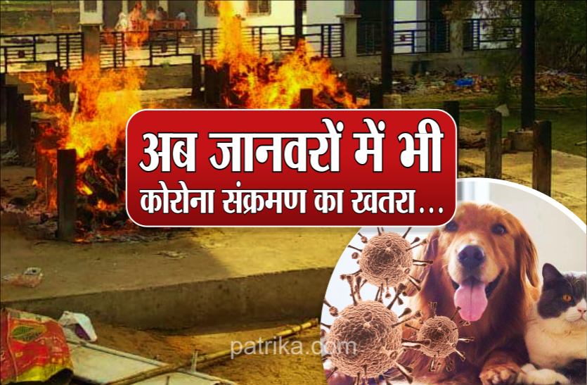 animal_corona.png सेंट्रल जू अथॉरिटी ने जारी किया अलर्ट, बंद कर दिया गया है जू