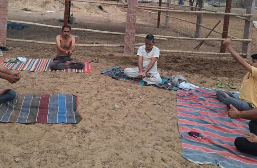 योग स्वस्थ जीवन की कुंजी योग स्वस्थ जीवन की कुंजी