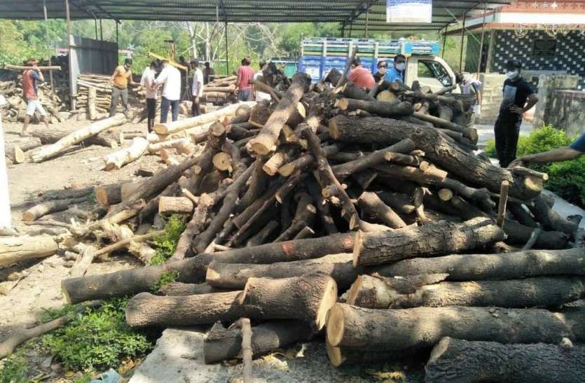 अंतिम संस्कार में लकड़ी की चार गुना बढ़ी खपत अंतिम संस्कार में लकड़ी की चार गुना बढ़ी खपत