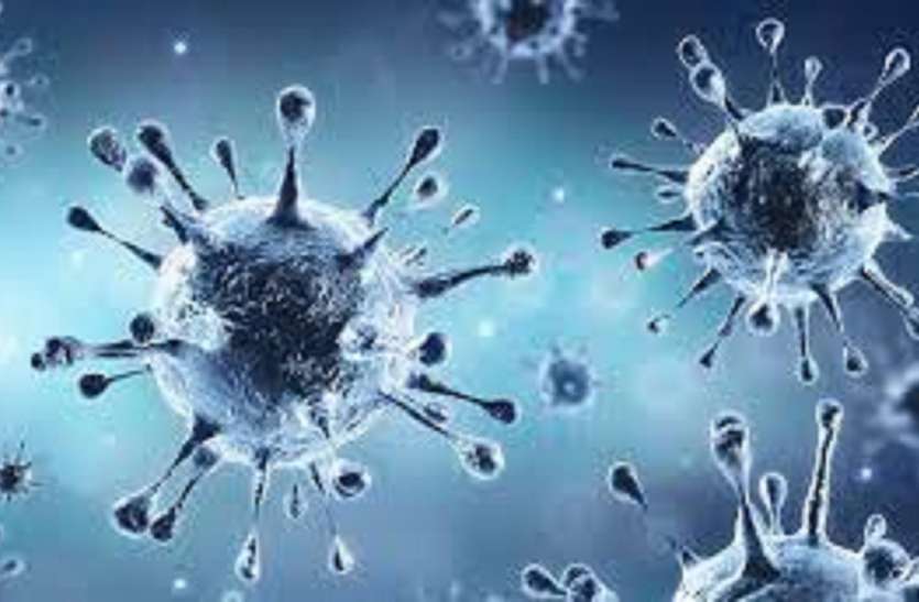 Coronavirus Bilaspur News लॉकडाउन के बावजूद कोरोना का कहर जारी, 24 घंटे में मिले 1193 नए संक्रमित, 30 मरीजों की मौत