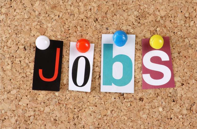 CCRAS Delhi Recruitment 2021 CCRAS Delhi Recruitment 2021: एमटीएस सहित अन्य के पदों पर निकली अर्जेन्ट भर्ती, फटाफट करें अप्लाई