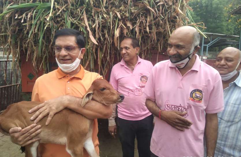 PATRIKA NEWS BRIEF : गजेरा ट्रस्ट लोगों के साथ गौ माता का भी कर रहा है देखभाल PATRIKA NEWS BRIEF : गजेरा ट्रस्ट लोगों के साथ गौ माता का भी कर रहा है देखभाल