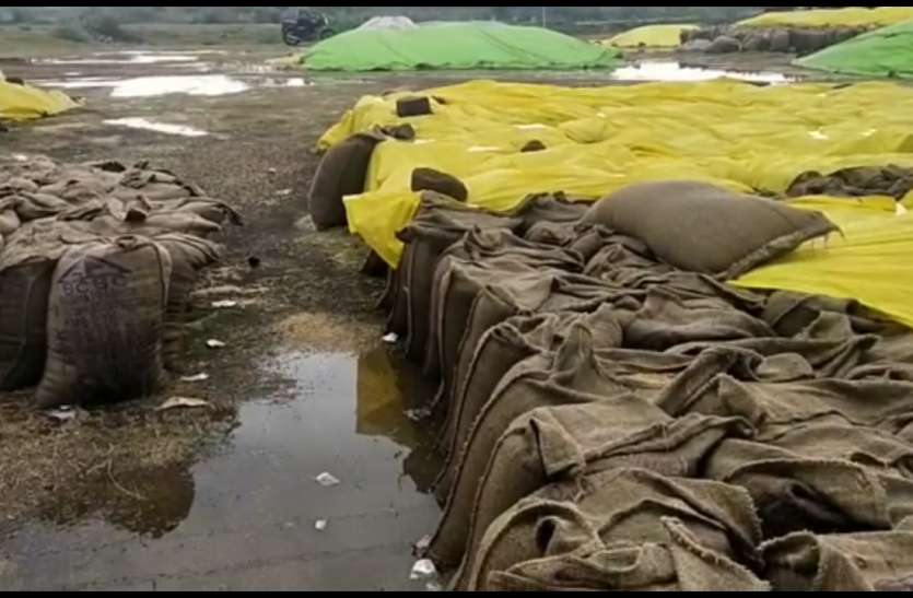 महामारी से लड़ रहे इंसानों पर आसमान से बरसी आफत महामारी से लड़ रहे इंसानों पर आसमान से बरसी आफत