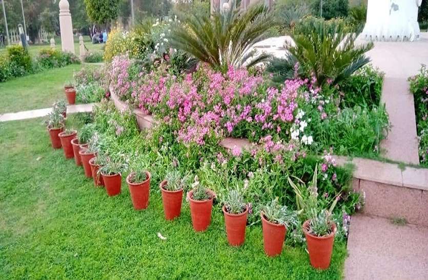 फाइल फोटो हरियाली बचाने की कवायद, जेडीए-नगर निगम जुटे