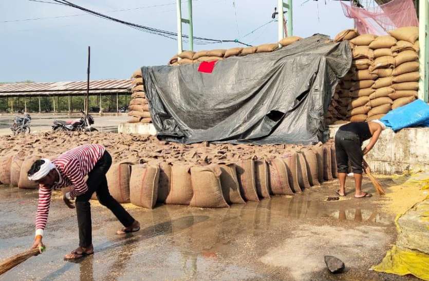 1101nsp9.jpg खाली पड़े हैं गोदाम, ट्रांसपोर्टरों को फायदा पहुंचाने करा रहे थे गेहूं का परिवहन