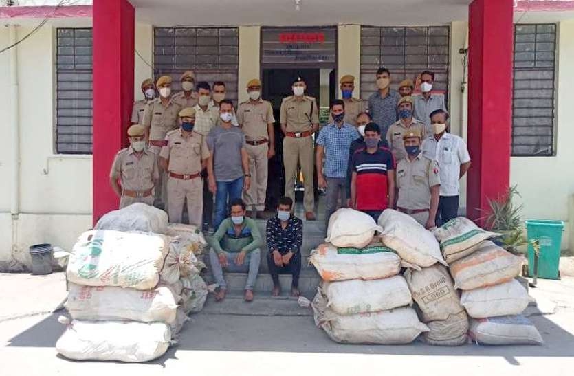 नारियल की आड़ में ला रहे थे 790 किलो गांजा, दो गिरफ्तार नारियल की आड़ में ला रहे थे 790 किलो गांजा, दो गिरफ्तार