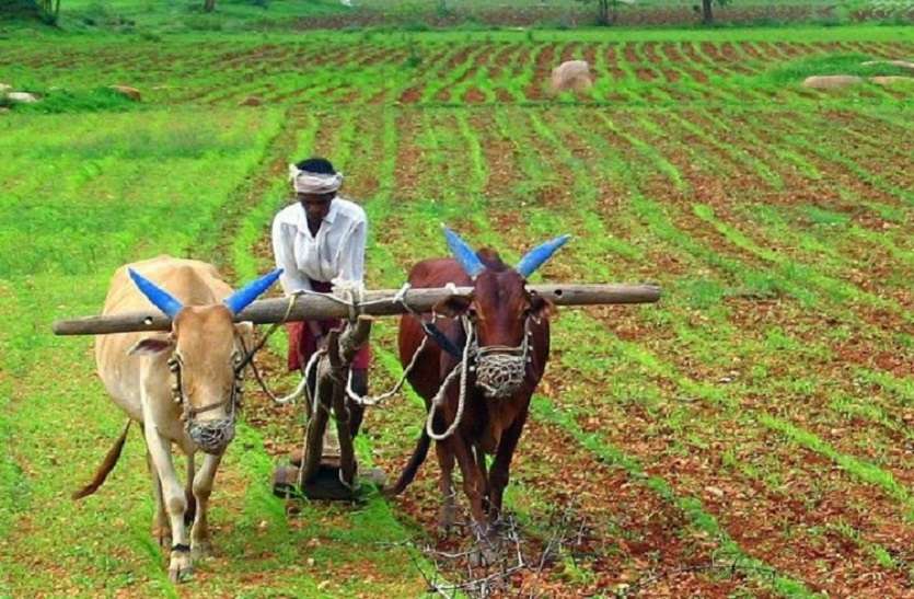 Modi govt gives big relief to farmers, fertilizer subsidy rise 140 pc