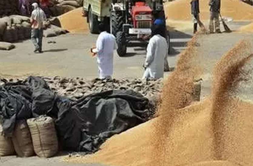 यूपी में अब तक साढ़े बीस लाख मीट्रिक टन गेहूं की खरीद हुई यूपी में अब तक साढ़े बीस लाख मीट्रिक टन गेहूं की खरीद हुई