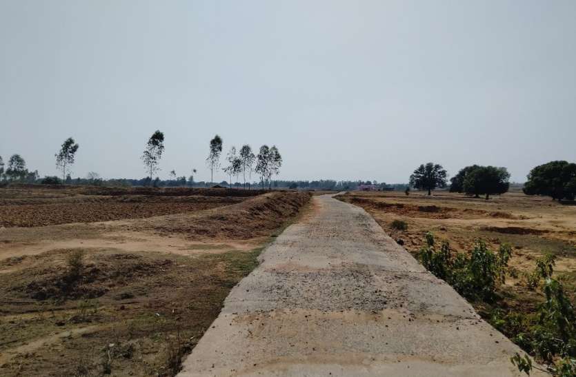 43 acres of land recorded in revenue records, illegal possession of mo राजस्व रिकार्ड में दर्ज 43 एकड़ जमीन, आधे से अधिक रकबे पर अवैध कब्जा