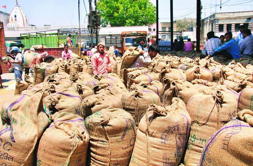 बारदाना ने गेहूं खरीदी पर लगाया ब्रैक बारदाना ने गेहूं खरीदी पर लगाया ब्रैक