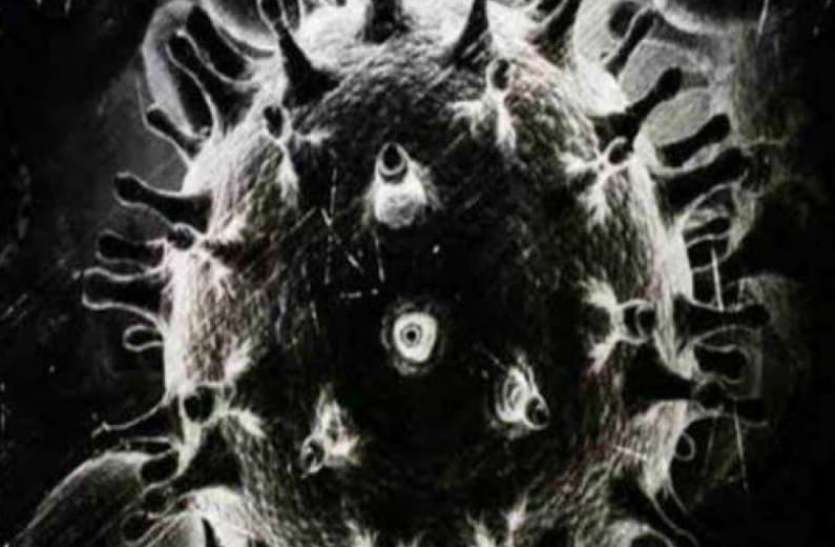 black_fungus_1.jpg Black Fungus शुगर के मरीजों और स्टेरॉयड्स लेने वालों बढ़ रहा खतरा