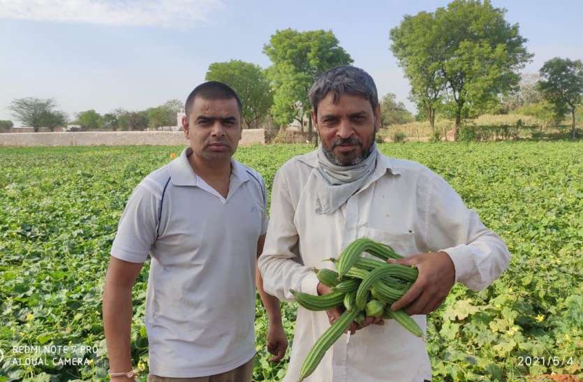 prakash.jpg कोरोना काल में नौकरी का साथ छूटा तो उदयपुर के इस युवा ने ऑर्गेनिक खेती का थामा दामन