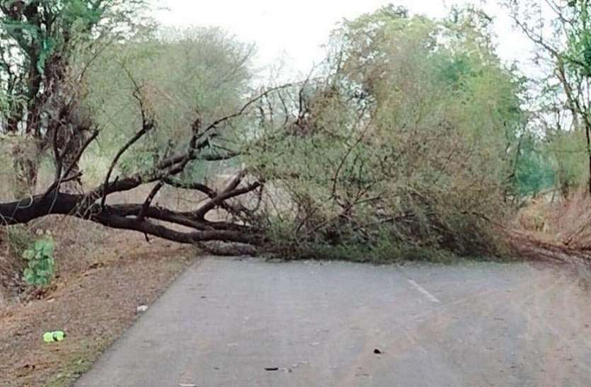 Cyclone..झालावाड़ में तूफान ने दी दस्तक,मचाई तबाही,कई पेड़ गिरे Cyclone..झालावाड़ में तूफान ने दी दस्तक,मचाई तबाही,कई पेड़ गिरे