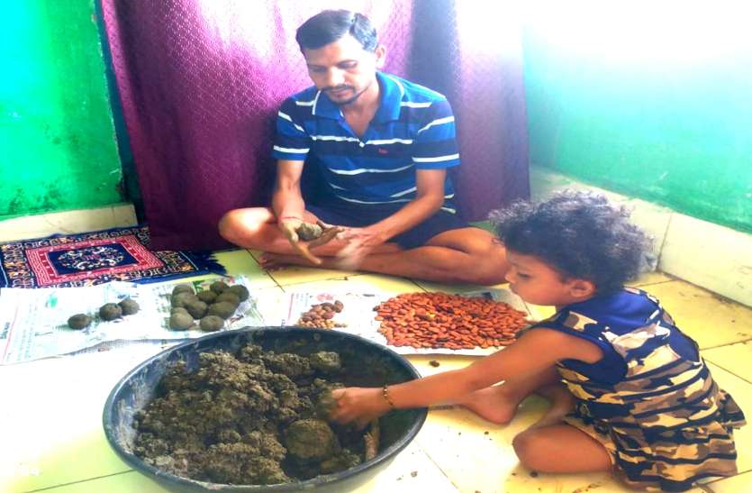 ऑक्सीजन सहेजने पूरा परिवार जुटा है हजारों सीड बॉल बनाने, क्योंकि ये जानते हैं जीवन के लिए पेड़ कितना है जरूरी... ऑक्सीजन सहेजने पूरा परिवार जुटा है हजारों सीड बॉल बनाने, क्योंकि ये जानते हैं जीवन के लिए पेड़ कितना है जरूरी...