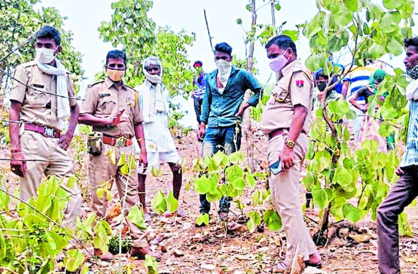Panther attacked the young man युवक पर पैंथर ने किया हमला