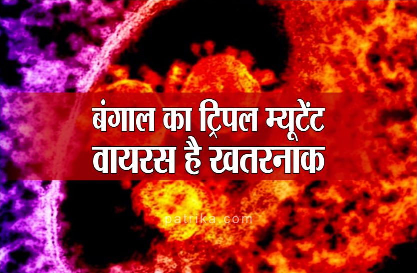 bengal.png शहर के हाल बिगाड़ रहा है बंगाल का डबल या ट्रिपल म्यूटेंट, डॉक्टरों को आ रही मुश्किल