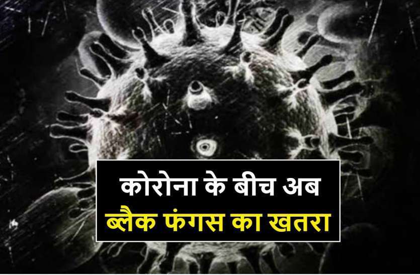 ब्लैक फंगस : इम्यूनोमॉड्यूलेटिंग दवा का नहीं होगा उपयोग ब्लैक फंगस : इम्यूनोमॉड्यूलेटिंग दवा का नहीं होगा उपयोग