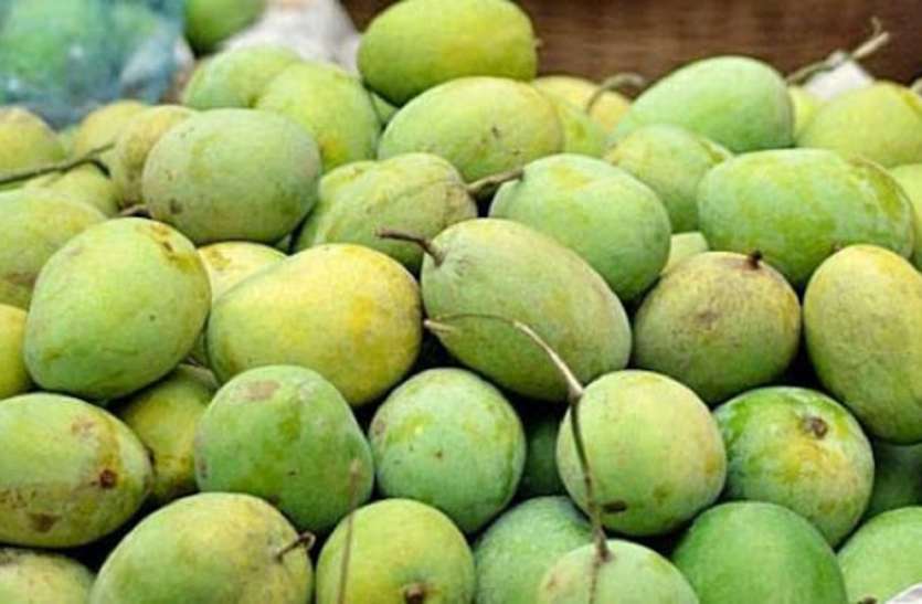 Mango: यूरोप तक जा सकती है बंगाल के आम की मिठास Mango: यूरोप तक जा सकती है बंगाल के आम की मिठास