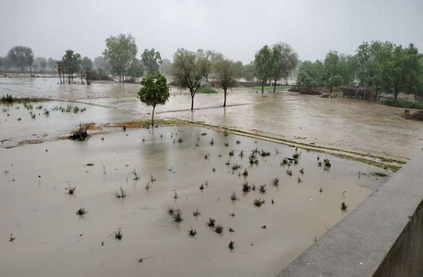 rain_in_rajasthan.jpg तूफान तौकते का असर: राजस्थान में भारी बारिश, सैकड़ों पेड़ गिरे, नागौर में बालक की मौत