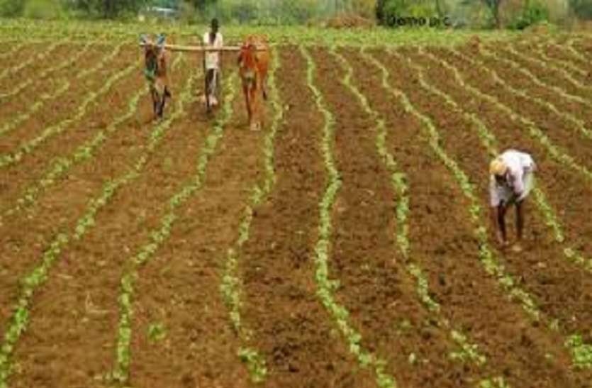 farmers टैफे ने की तमिलनाडु में छोटे किसानों के लिए मुफ्त ट्रैक्टर किराए की योजना की घोषणा