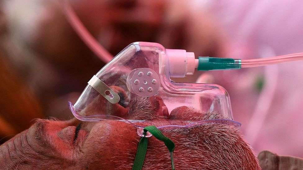 व्हाइट फंगस के बारे में ये बातें ज़रूर जान लें