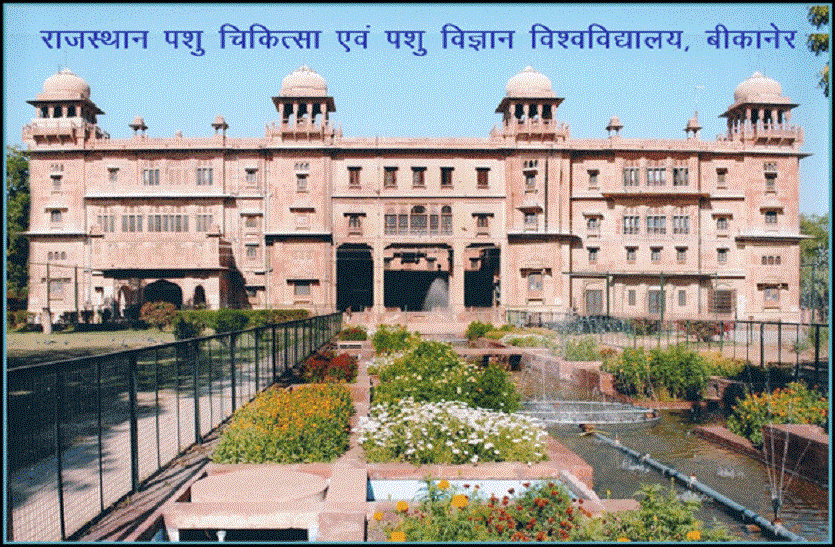 bikaners-veterinary-univer_1.gif आरपीवीटी के लिए अब 30 जून तक कर सकेंगे आवेदन