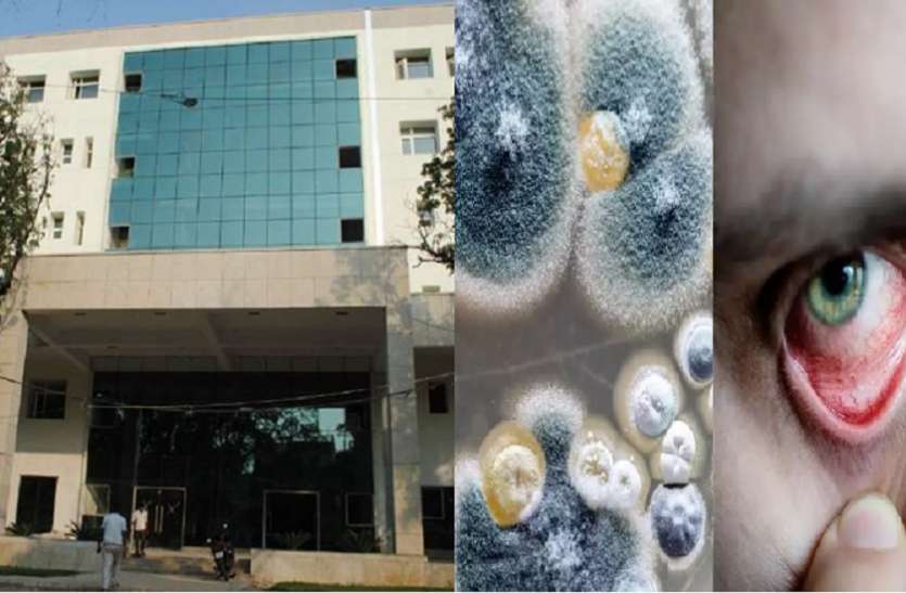 black fungus patient missing from hospital ब्लैक फंगस: मरीज की मौत पर पर्दे की पूरी तैयारी