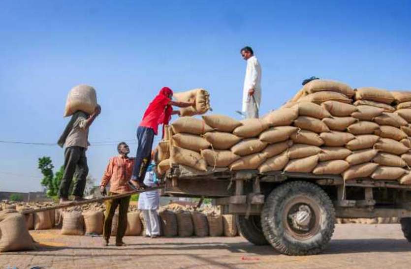 indias foodgrain production कोरोना संकट के बीच खुशखबरी: 2020-21 में भरे रहेंगे अन्न के भंडार, खाद्यान्न का रिकॉर्ड उत्पादन का अनुमान