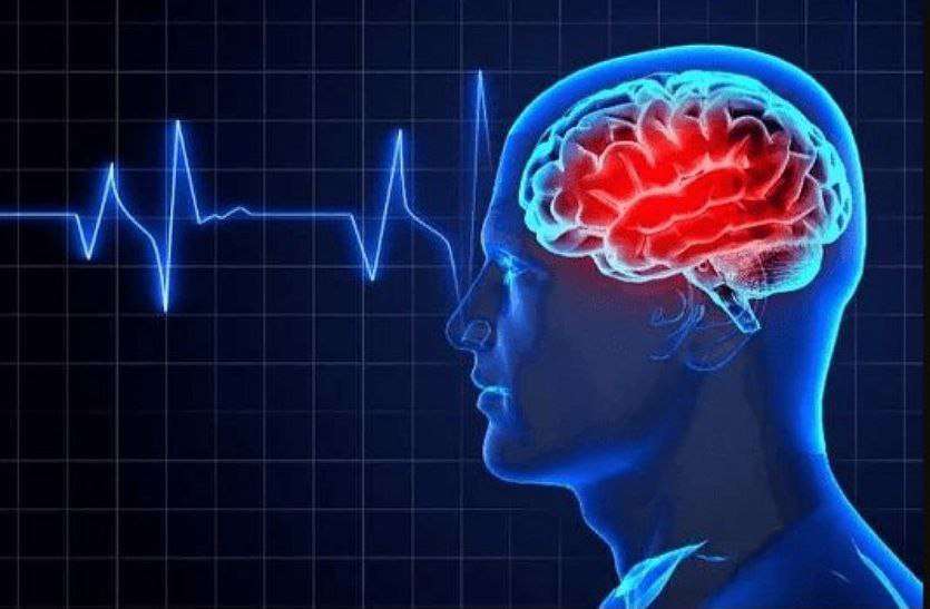 Brain Brainpower foods :- दिमाग को तेज करने के लिए खाएं यह खाद्य प्रदार्थ