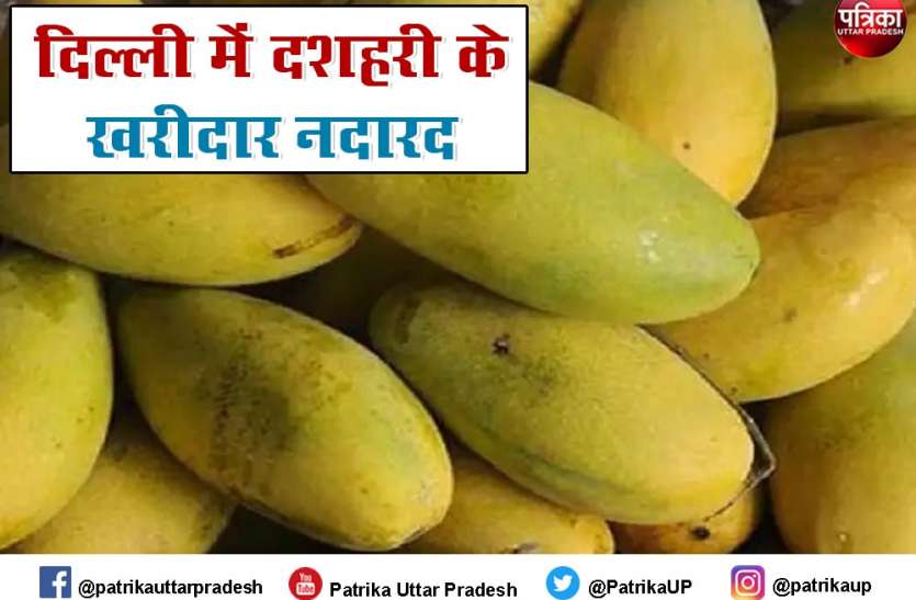 दिल्ली मंडी में नहीं बिकी दशहरी की दूसरी खेप, व्यापारी मायूस दिल्ली मंडी में नहीं बिकी दशहरी की दूसरी खेप, व्यापारी मायूस