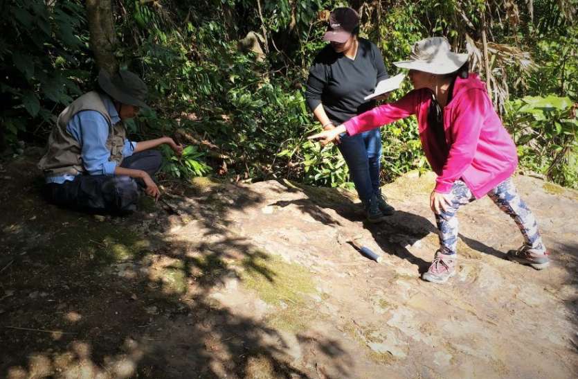 'Discovery Team' de mujeres, encuentra fósiles de 100 millones de años