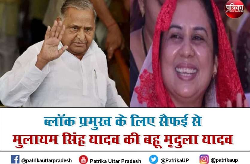 सैफई से मुलायम सिंह यादव की बहू को पुनः ब्लॉक प्रमुख बनाने की तैयारी, ये है सैफई का राजनीतिक सफर सैफई से मुलायम सिंह यादव की बहू को पुनः ब्लॉक प्रमुख बनाने की तैयारी, ये है सैफई का राजनीतिक सफर