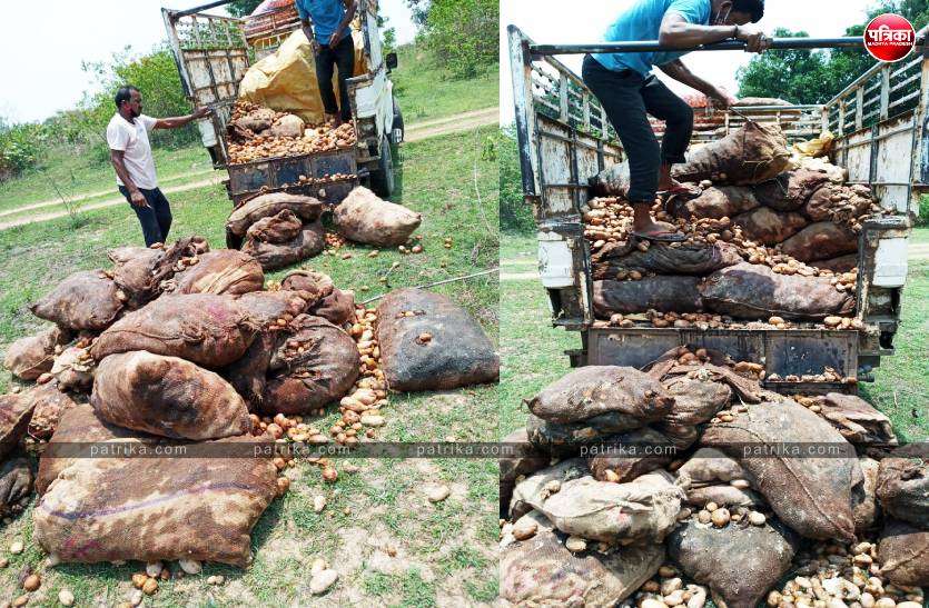 shahdol_farmers.jpg कोरोना ने छोटे व्यापारी-किसानों की कमर तोड़ी
