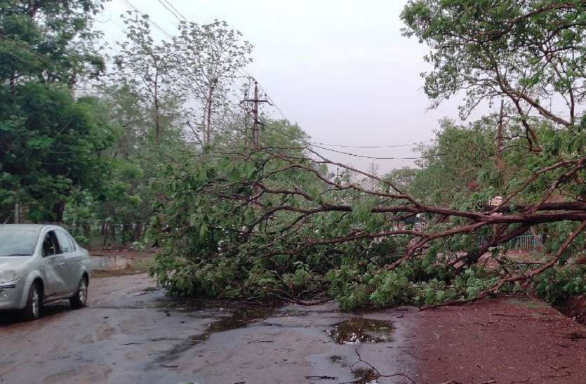 Weather Forecast : मानसून की दस्तक से पहले छत्तीसगढ़ में तेज हवाएं और बिजली कड़कने की संभावना Weather Forecast : मानसून की दस्तक से पहले छत्तीसगढ़ में तेज हवाएं और बिजली कड़कने की संभावना