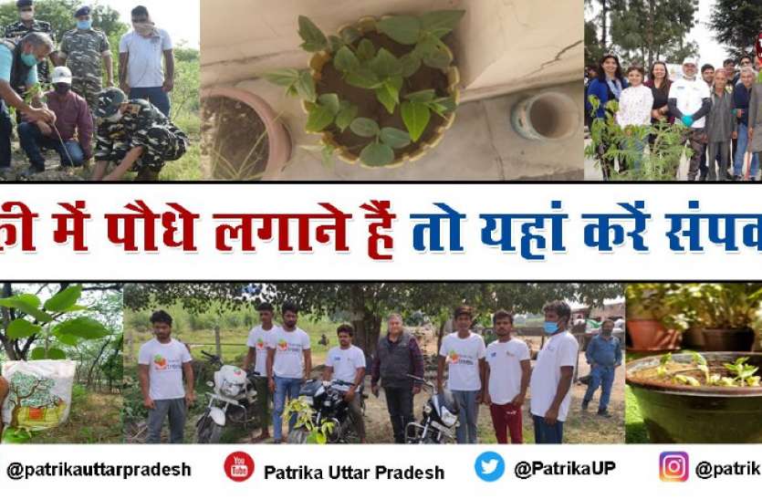 baaeefce-ebba-4250-8b95-5699c4644781.jpeg World Environment Day: 2 करोड़ से अधिक पेड़ लगा चुके पीपल बाबा अब आपके घर भी फ्री में लगाएंगे पौधे