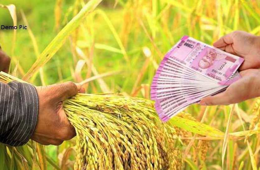 किसानहित में सरकार का बड़ा फैसला, साढ़े सात लाख से अधिक किसानों को मिलेगा फसली ऋण का लाभ