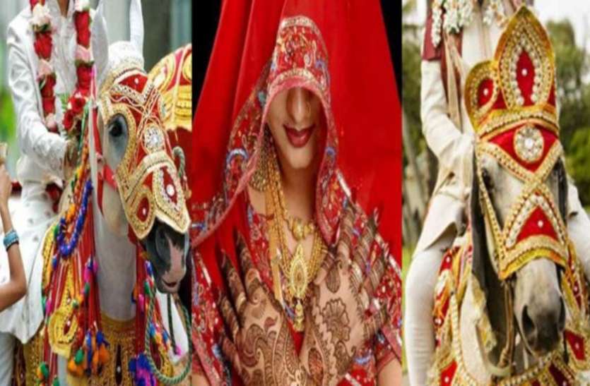 etah.jpg अजब-गजब : एक दुल्हन से शादी करने बारात लेकर पहुंचे दो दूल्हे, एक के साथ हुई वरमाला तो दूसरे संग हुई विदाई