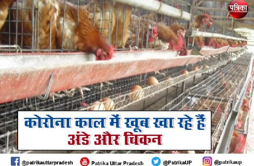 eggs_chicken_sales.jpg अचानक अंडे की बिक्री बढ़ी, टूटे सारे रिकॉर्ड, चिकन के दाम तीन गुना हुए
