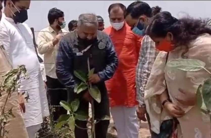 screenshot_from_2021-06-06_11-31-23.jpg हिंडन के डूब क्षेत्र में लहलहाएंगे 65 हज़ार पेड़, 15 एकड़ जमीन पर तैयार होगा नया 'जंगल'