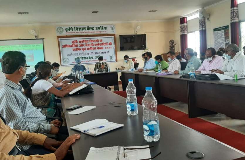 Area expansion of Kodo Kutki, processing unit will start providing reasonable price कोदो कुटकी का होगा क्षेत्र विस्तार, वाजिब दाम दिलाने लगेगी प्रोसेसिंग यूनिट