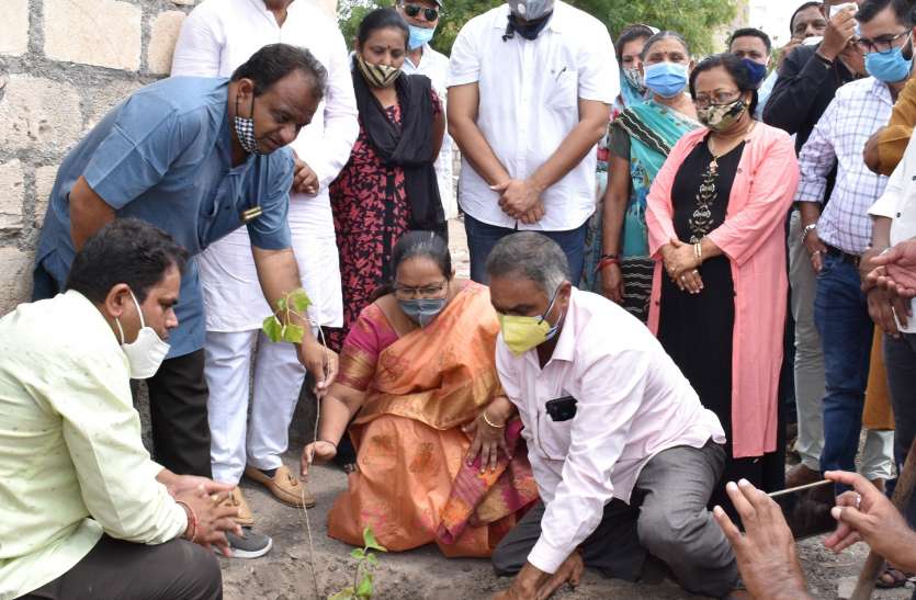10 हजार फीट जमीन पर ऑक्सीजन पार्क की शुरुआत 10 हजार फीट जमीन पर ऑक्सीजन पार्क की शुरुआत