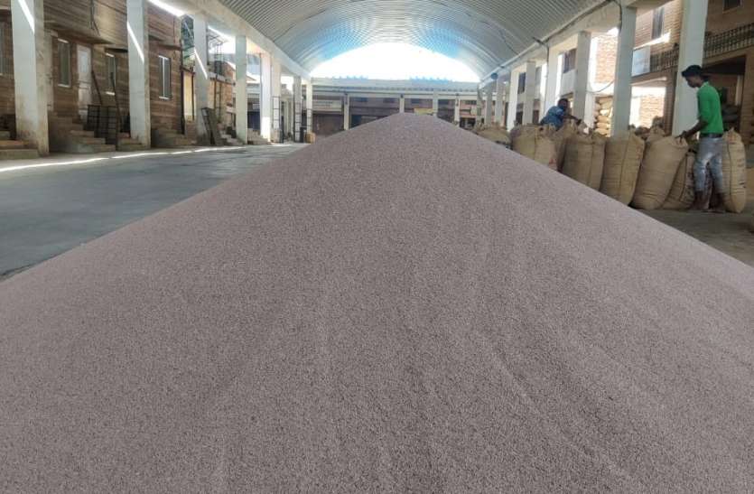 दुनिया में बढ़ रही ईसब की मांग, कोविड काल में भी निर्यात जारी दुनिया में बढ़ रही ईसब की मांग, कोविड काल में भी निर्यात जारी