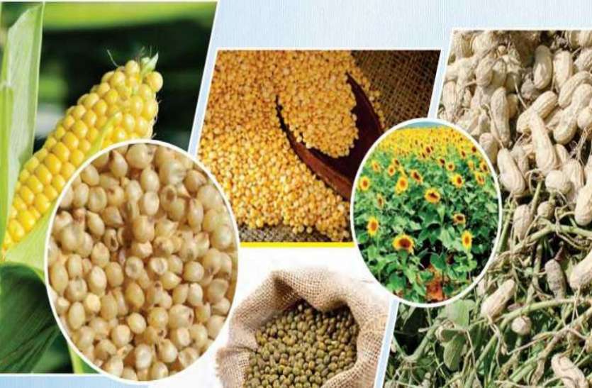 kharif-fasal.jpg किसानों को मोदी सरकार का तोहफा, खरीफ फसलों की MSP 62 फीसदी तक बढ़ाई