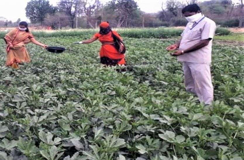लॉक डाउन में सब्जियों पर भी वायरस का हमला लॉक डाउन में सब्जियों पर भी वायरस का हमला