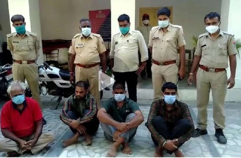 गाय दूध कम दे रही थी, टोटका करने में ले ली ऊंट की बलि गाय दूध कम दे रही थी, टोटका करने में ले ली ऊंट की बलि