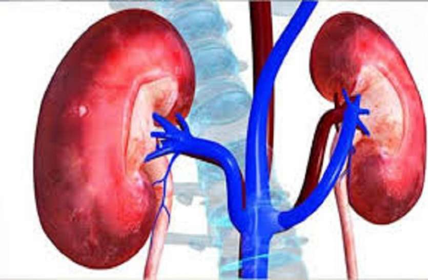 pathological postmortem-कोरोना संक्रमण फेफड़ों के साथ किडनी को भी पहुंचाता है नुकसान pathological postmortem-कोरोना संक्रमण फेफड़ों के साथ किडनी को भी पहुंचाता है नुकसान